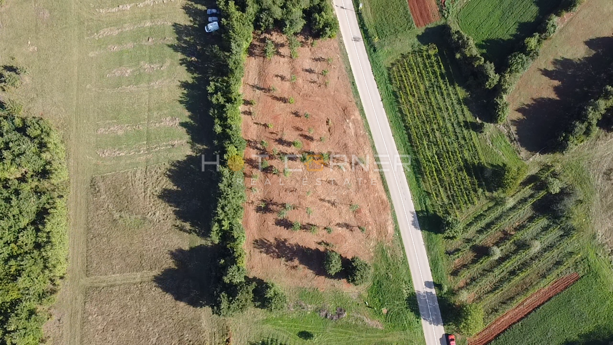 Splendido Terreno Edificabile con Vista Mare e Progetto per una Villa Moderna (terreno “D” – VILLA DIANA) 