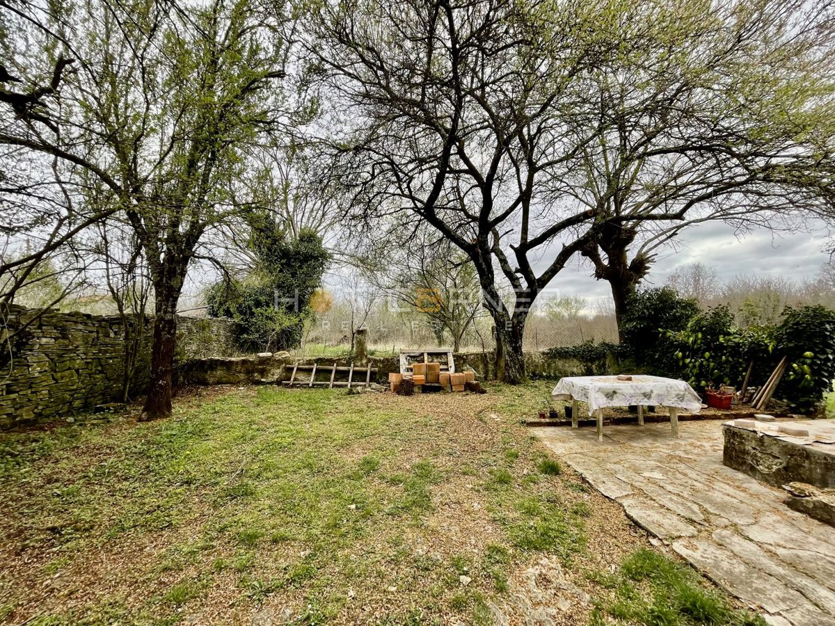 Svetvincenat, terreno edificabile 3570 m2 + casa in pietra d'Istria