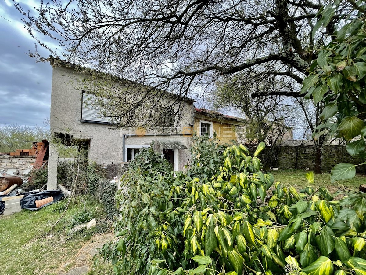 Svetvincenat, terreno edificabile 3570 m2 + casa in pietra d'Istria