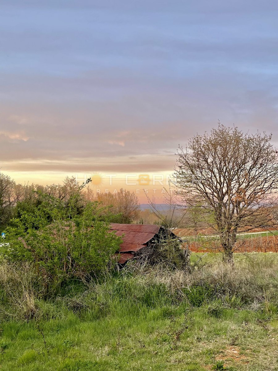 Visinada, casa istriana su un terreno di 1000 m2 + 6215m2 di terreno agricolo