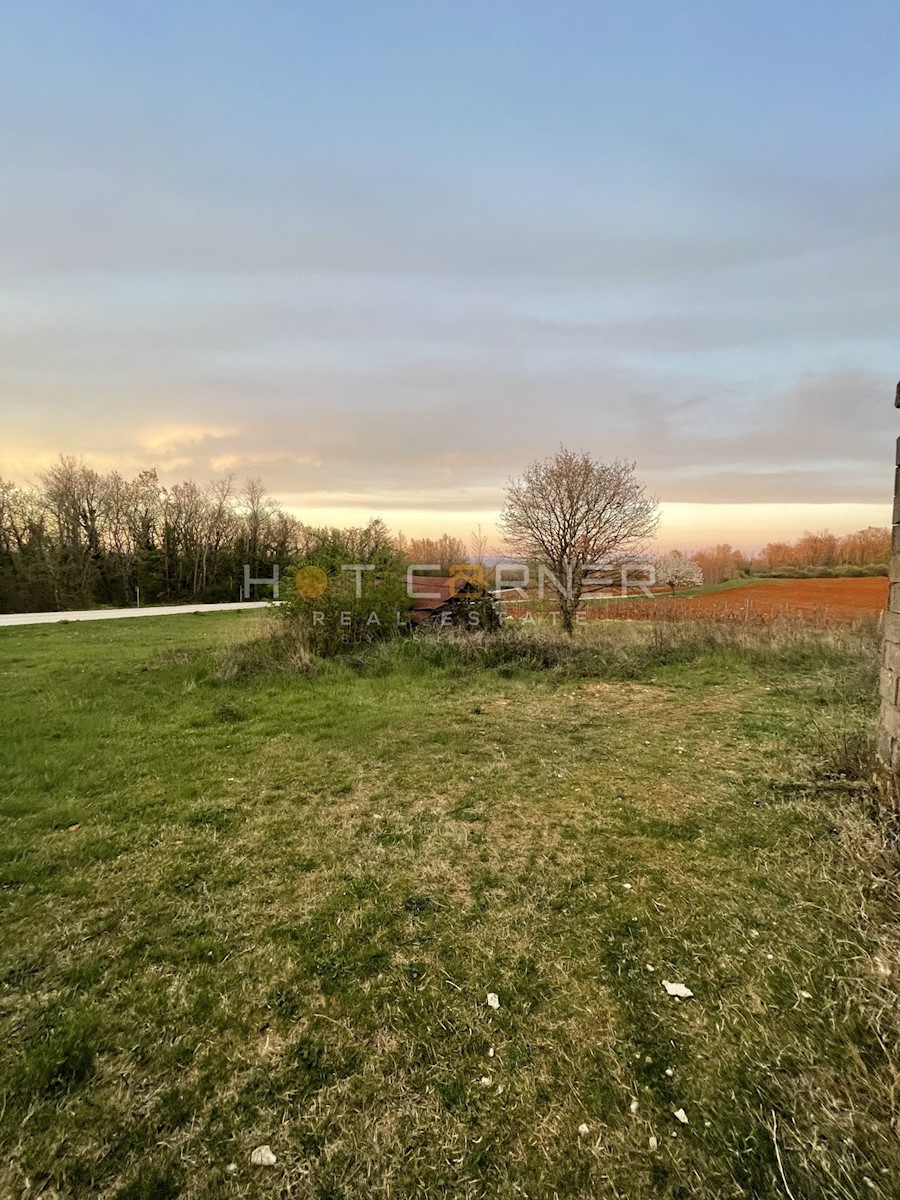 Visinada, casa istriana su un terreno di 1000 m2 + 6215m2 di terreno agricolo