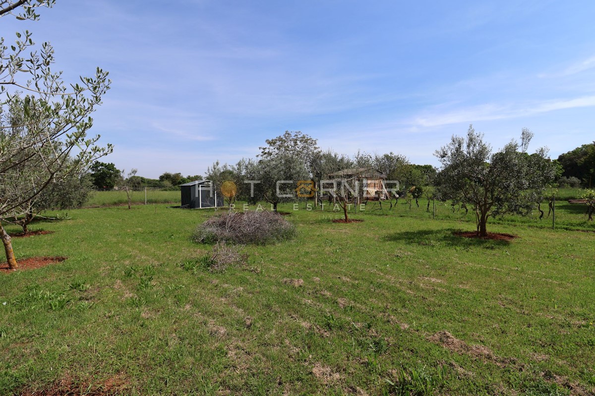 Casa Šišan, Ližnjan, 70m2