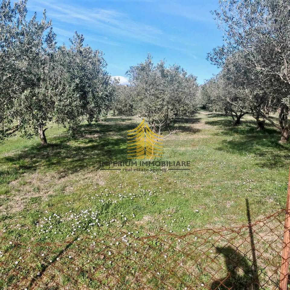 Terreno, Vendita, Zara, Murvica Gornja, Edificabile
