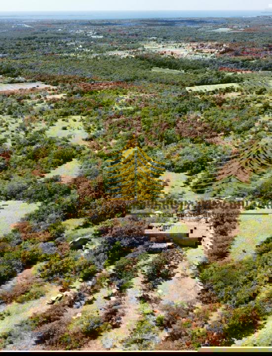 Casa, Vendita, Vodnjan, 2236m2, Fattoria