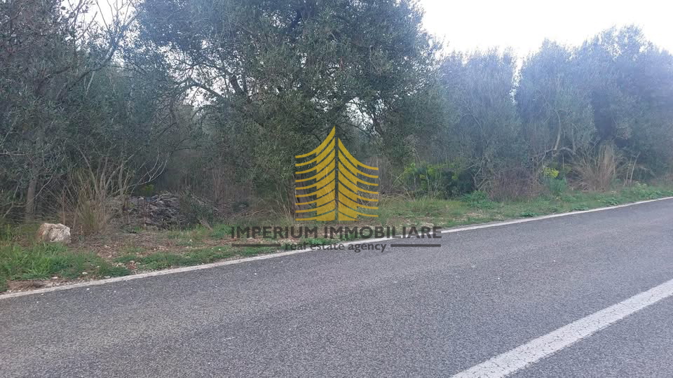 Terreno, Vendita, Sale, Edificabile