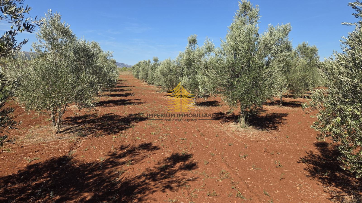 Terreno, Vendita, Stari Grad, 12149m2, Superficie agricola