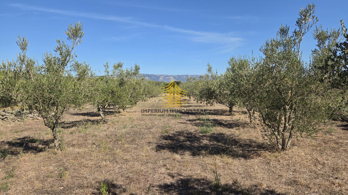 Terreno, Vendita, Stari Grad, 12149m2, Superficie agricola