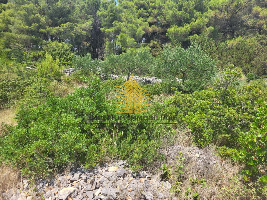 Terreno, Vendita, Sumartin, 914m2, Edificabile