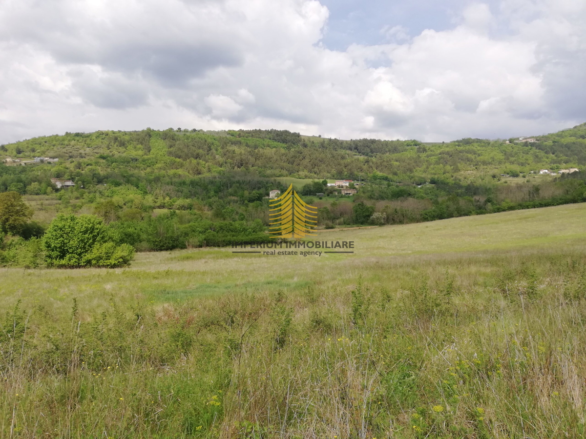 Terreno, Vendita, Motovun, Sveti Bartol, 53183m2, Edificabile