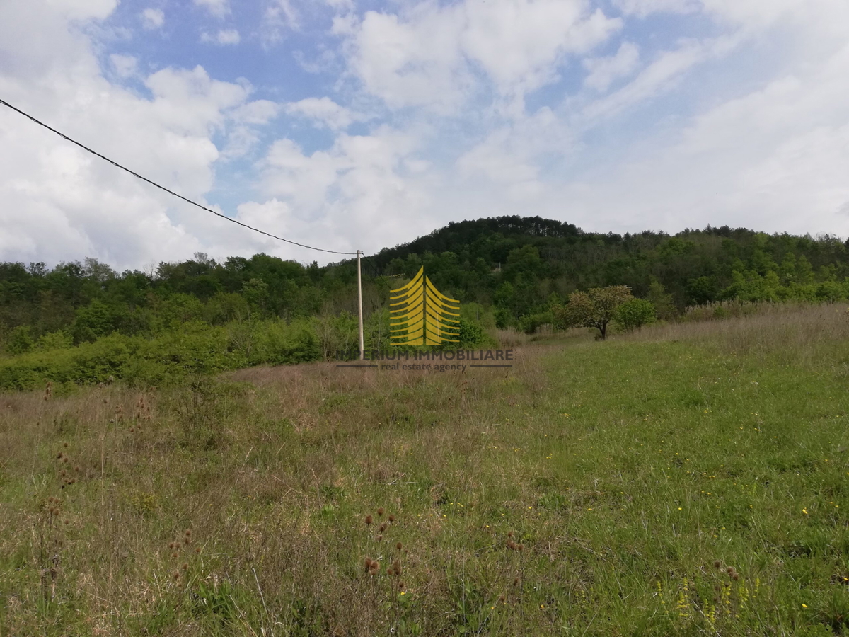 Terreno, Vendita, Motovun, Sveti Bartol, 53183m2, Edificabile