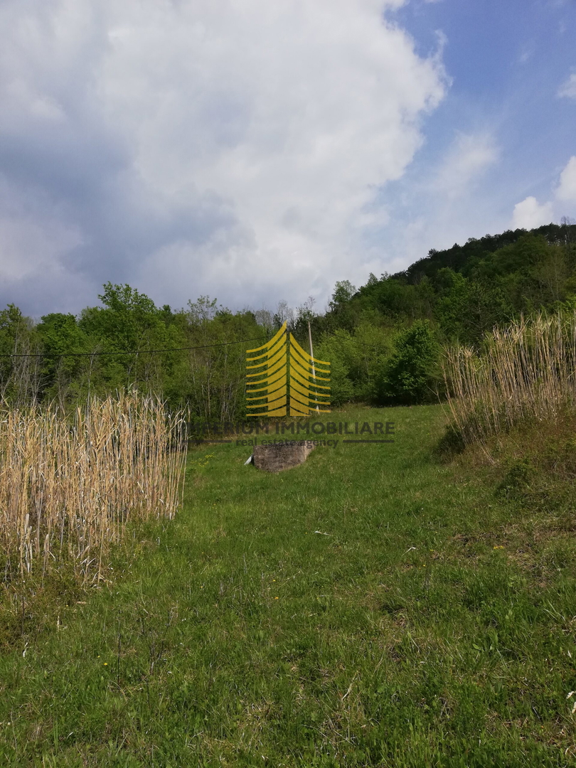 Terreno, Vendita, Motovun, Sveti Bartol, 53183m2, Edificabile