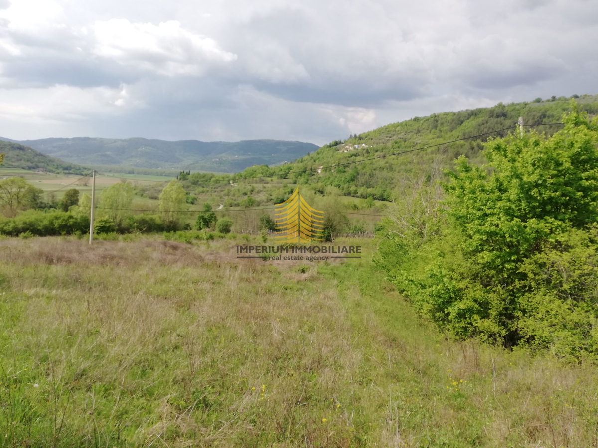 Terreno, Vendita, Motovun, Sveti Bartol, 53183m2, Edificabile