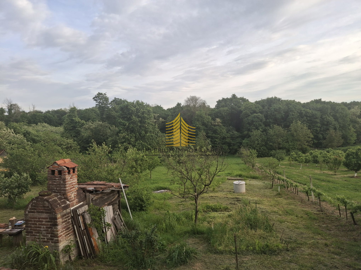 Casa, Vendita, Indipendente