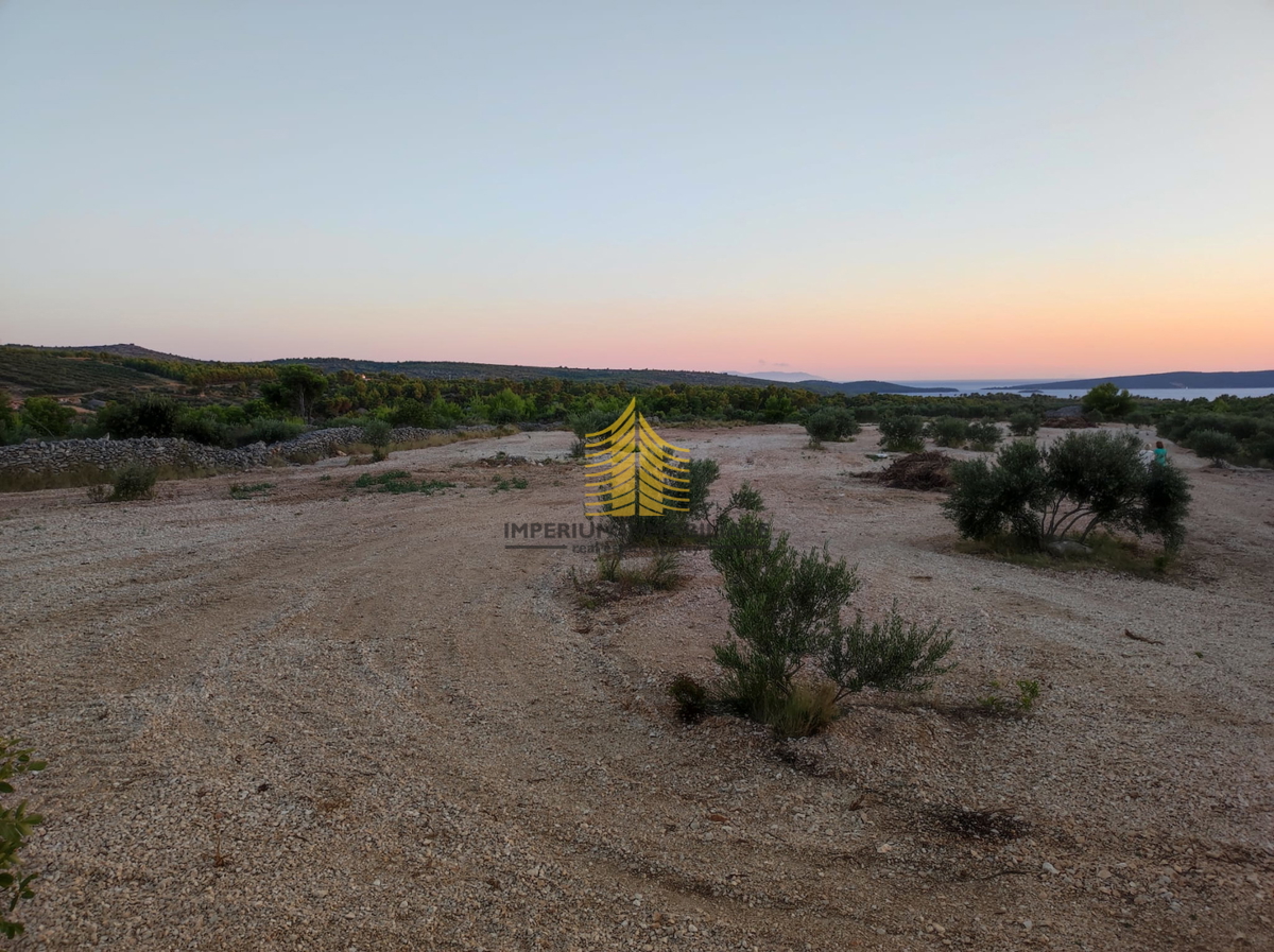 Terreno, Vendita, Superficie agricola