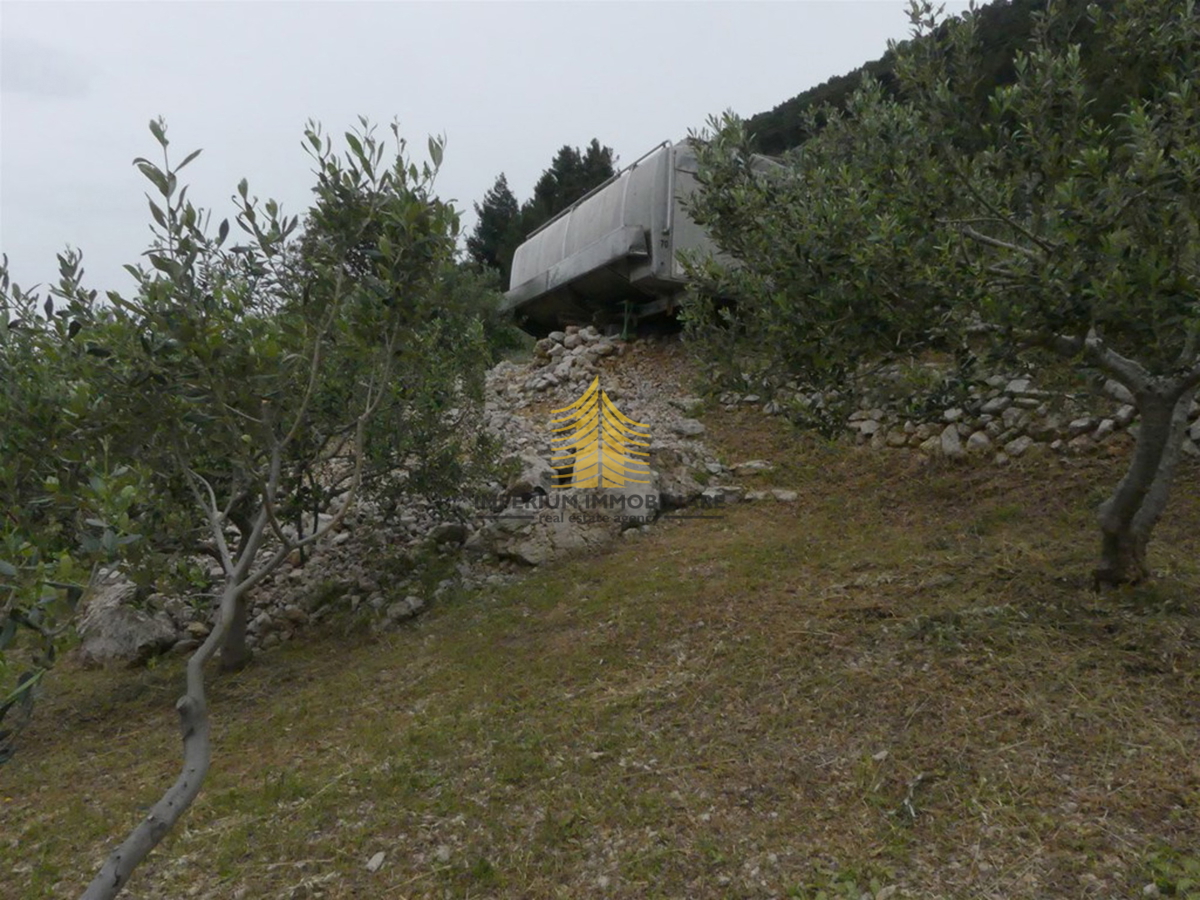 Terreno, Vendita, Bol, 2000m2, Superficie agricola