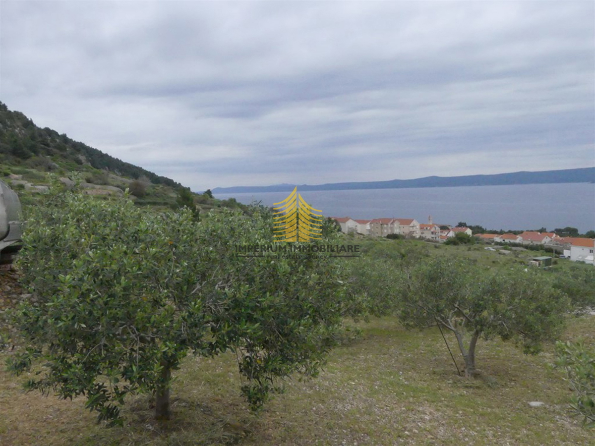 Terreno, Vendita, Bol, 2000m2, Superficie agricola