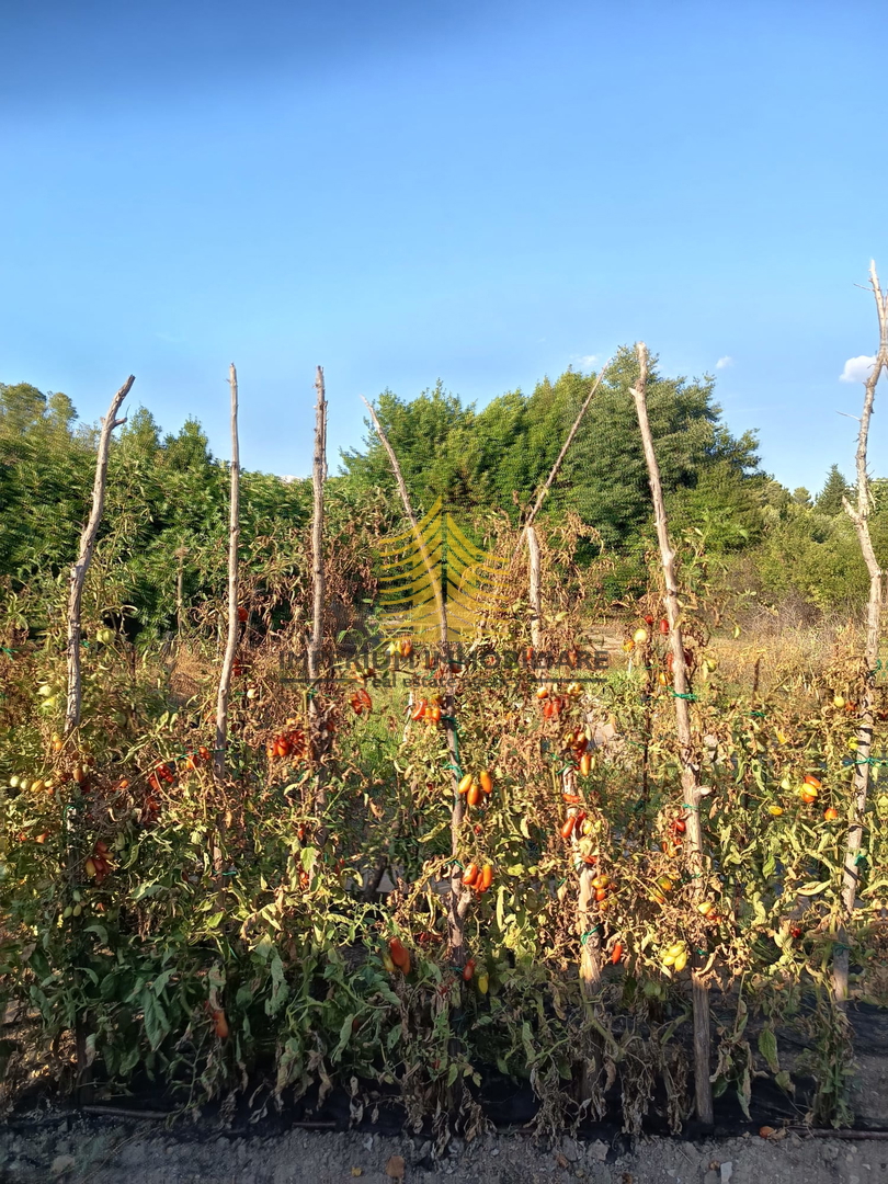 Casa, Vendita, Zara, Diklo, 160 m2, A schiera