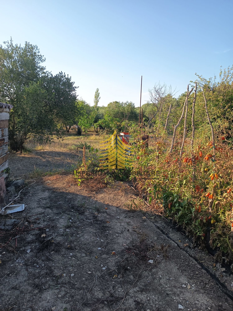 Casa, Vendita, Zara, Diklo, 160 m2, A schiera