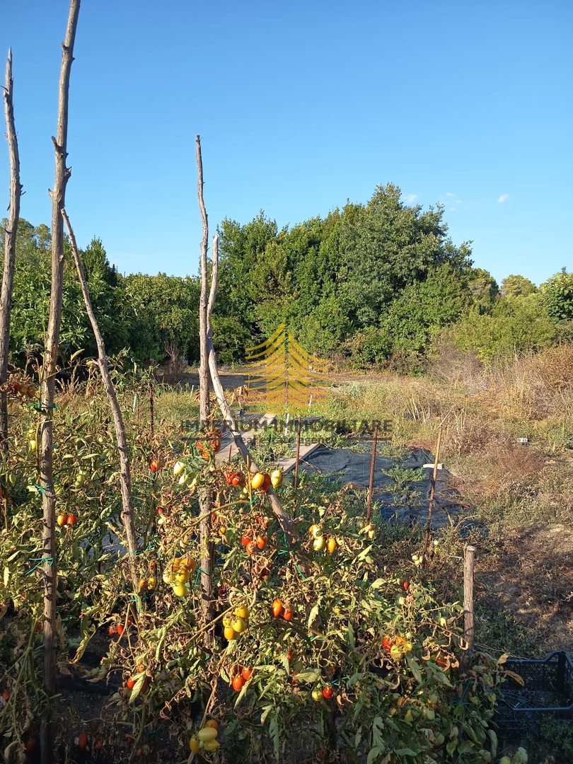 Casa, Vendita, Zara, Diklo, 160 m2, A schiera