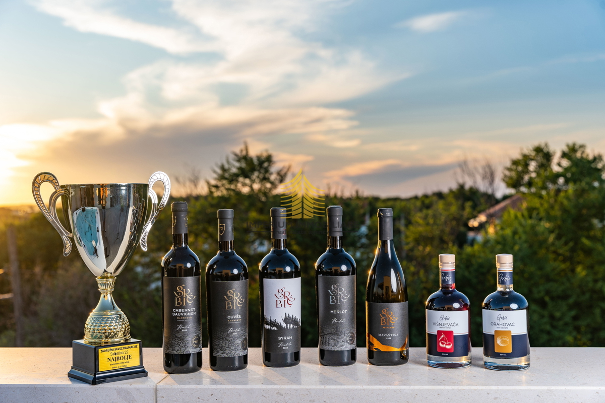 Casa, Vendita, Privlaka, 450m2, Villa