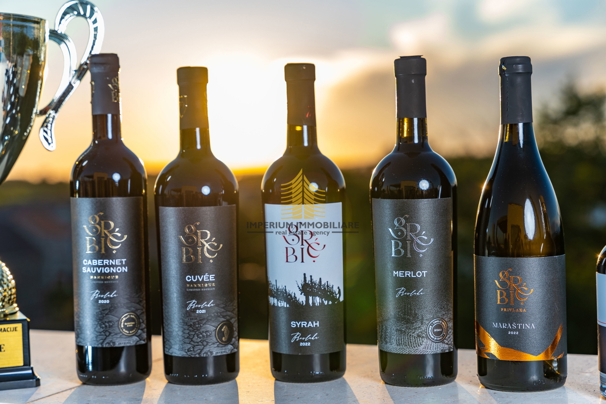 Casa, Vendita, Privlaka, 450m2, Villa