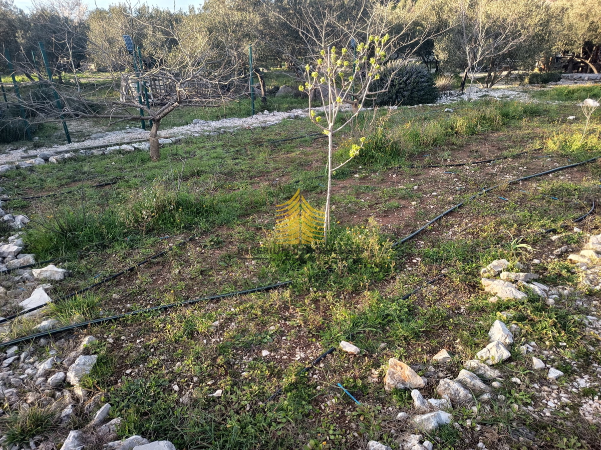 Casa, Vendita, Zaton, 30000m2, Indipendente