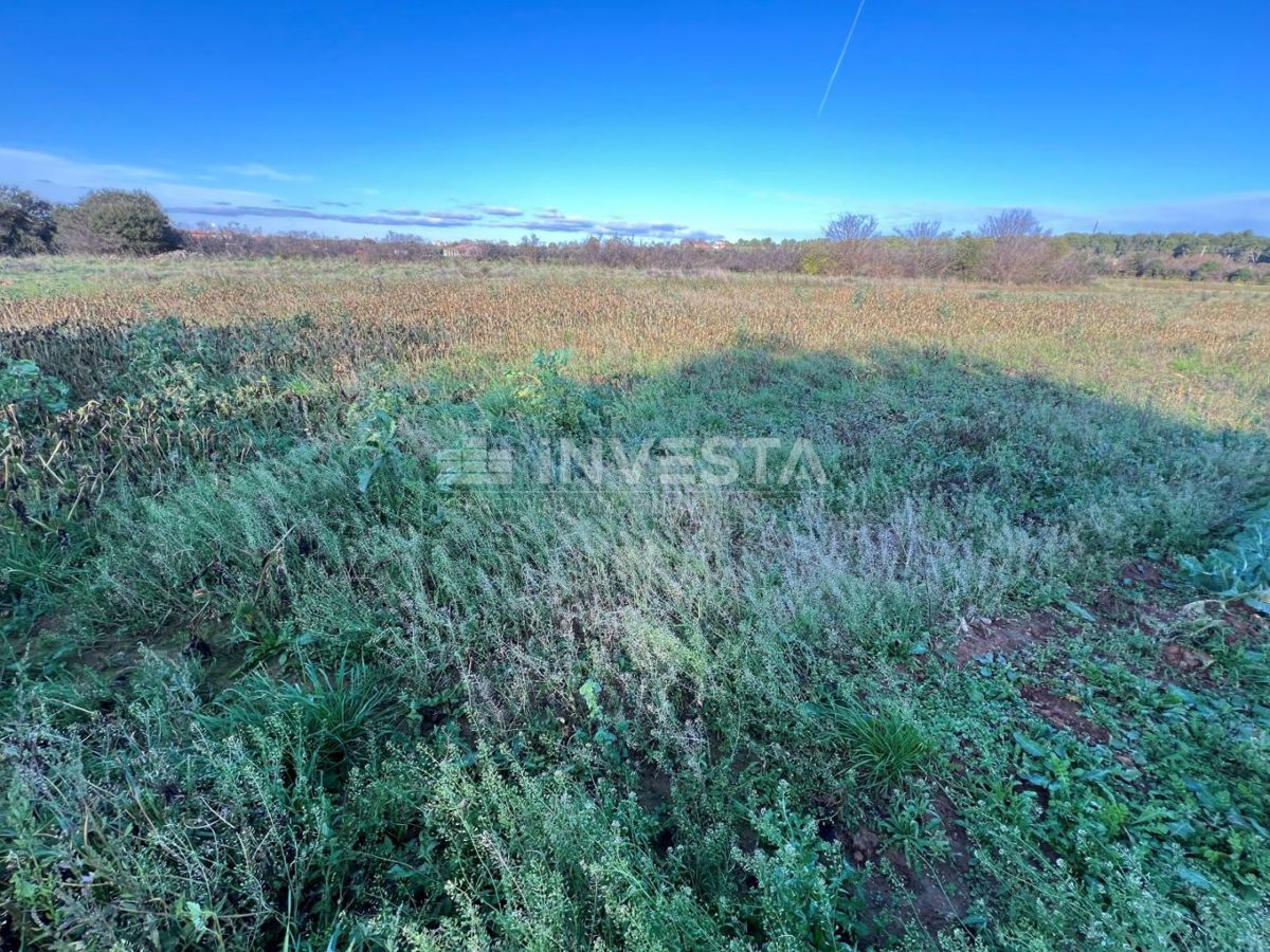 Pomer, terreno commerciale di 1889 m² e terreno agricolo di 1889 m²