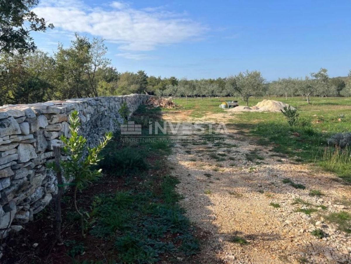 Vodnjan, terreno agricolo con ulivi