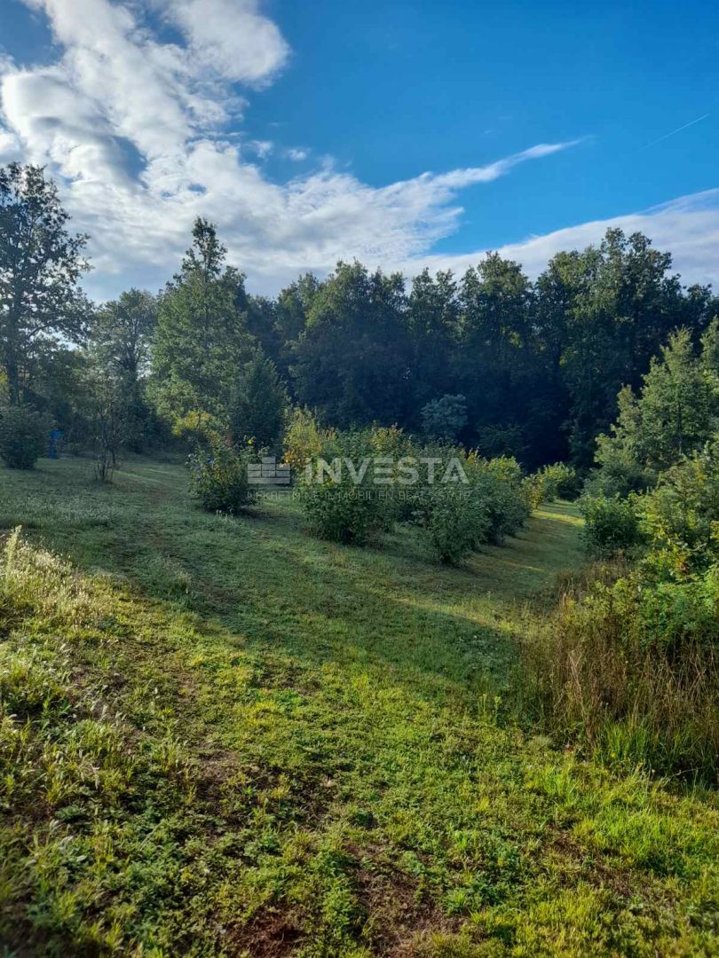 Ampio terreno edificabile nel centro della Istria
