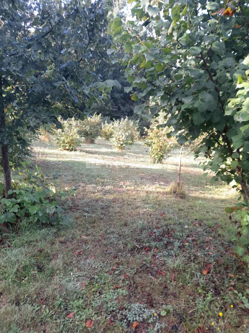 Ampio terreno edificabile nel centro della Istria