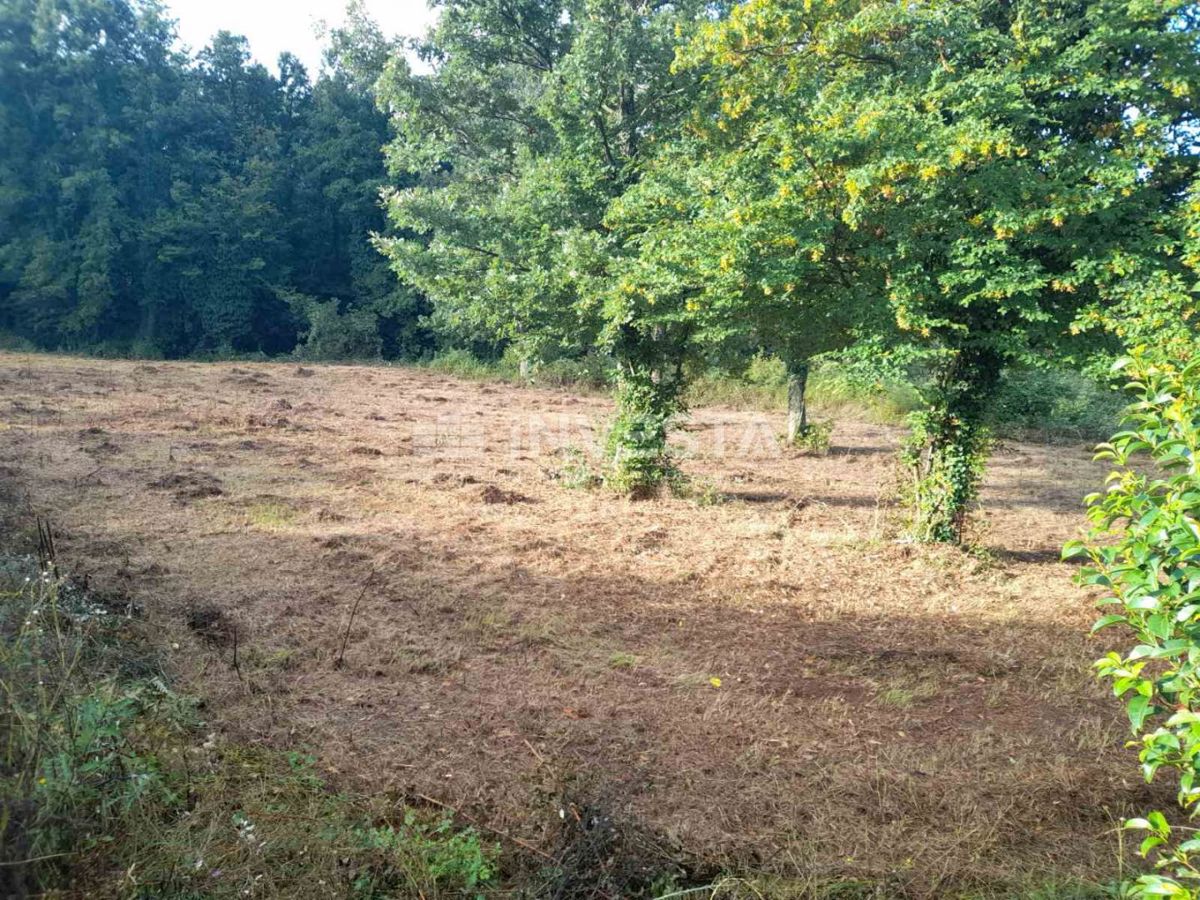 Ampio terreno edificabile nel centro della Istria