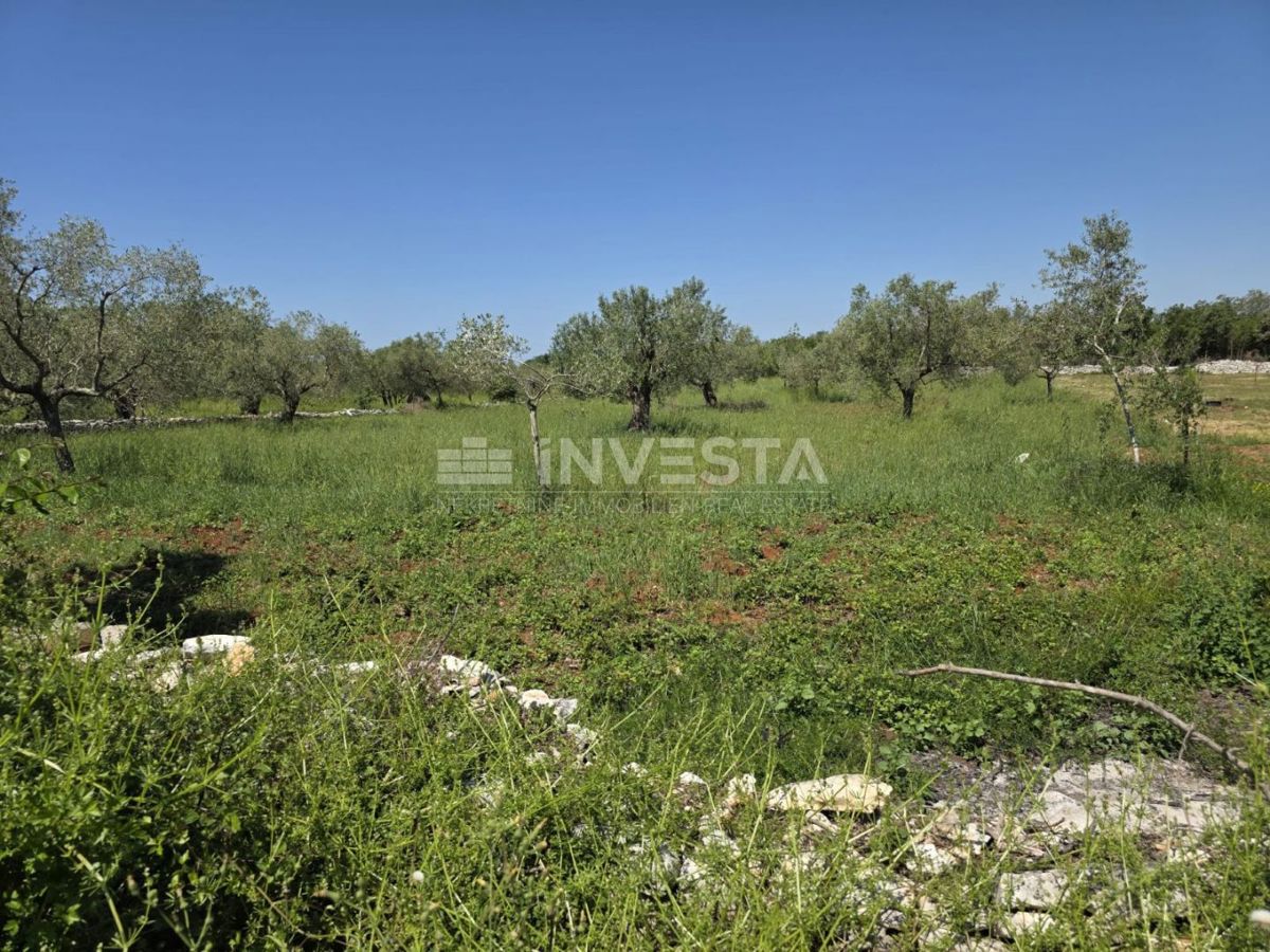 Nei dintorni di Fasana, terreno agricolo spazioso e ben curato