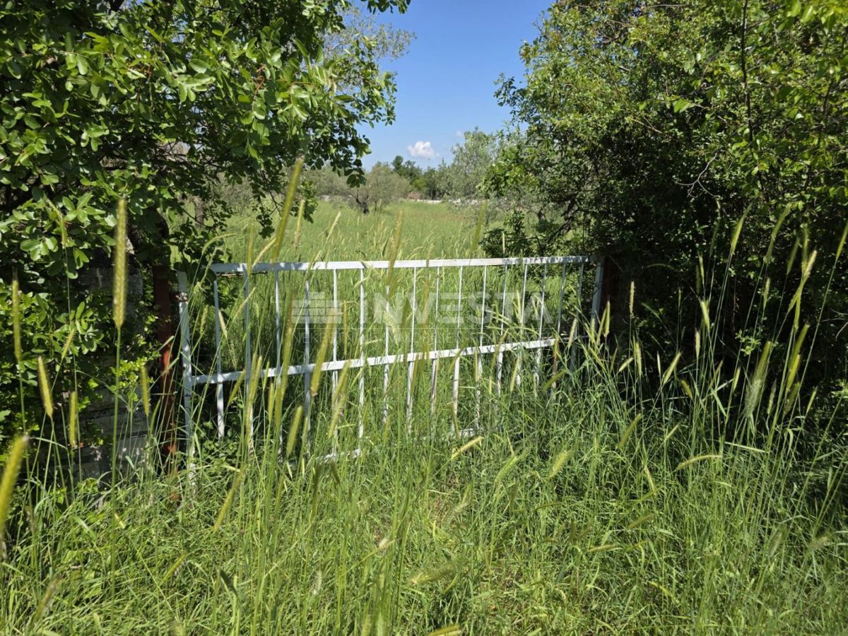Nei dintorni di Fasana, terreno agricolo spazioso e ben curato