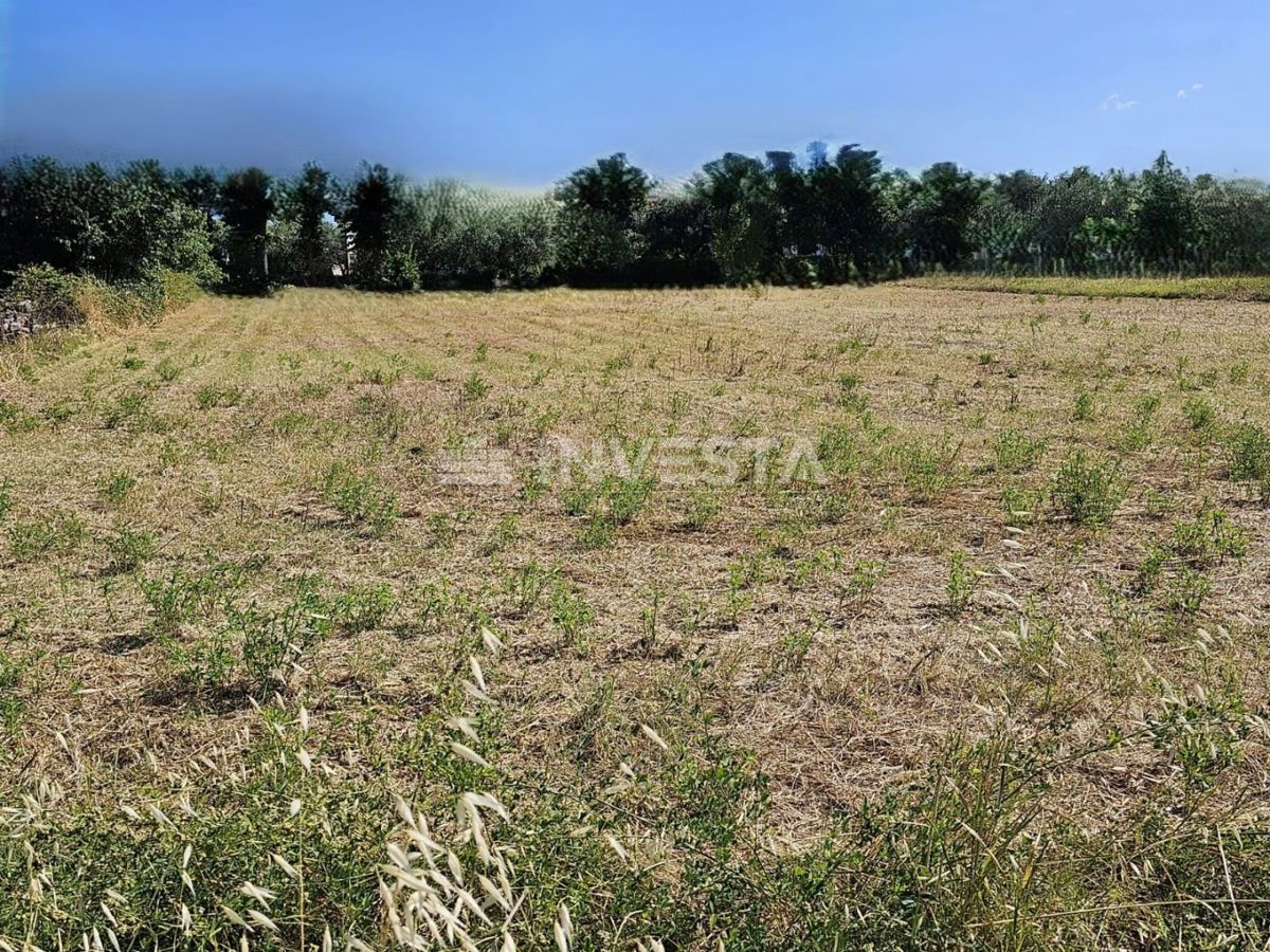 Vodnjan, terreno edificabile attraente 2112 m²