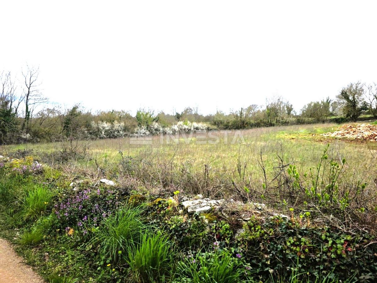 Terreno edificabile con permesso nei dintorni di Kanfanar