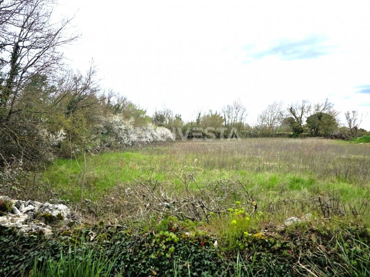 Terreno edificabile con permesso nei dintorni di Kanfanar