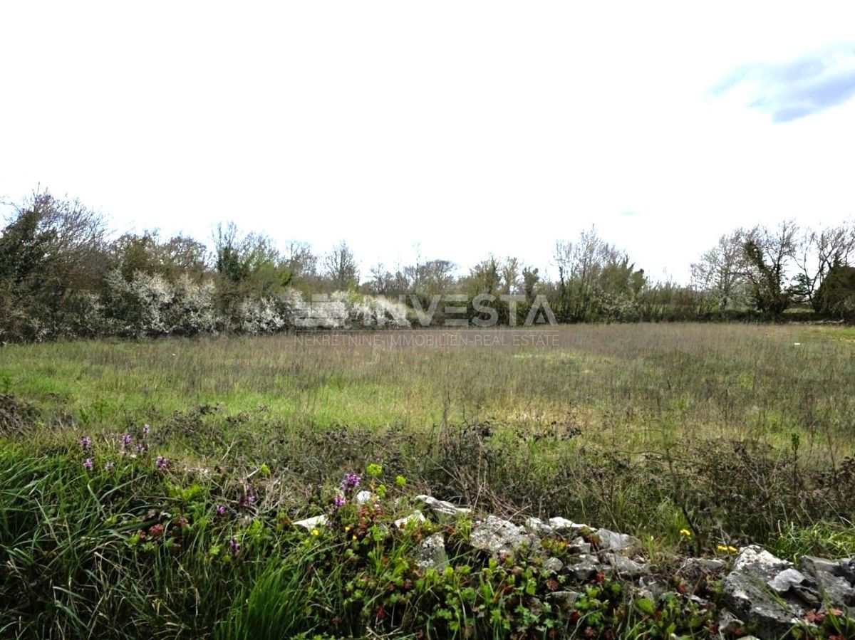 Terreno edificabile con permesso nei dintorni di Kanfanar