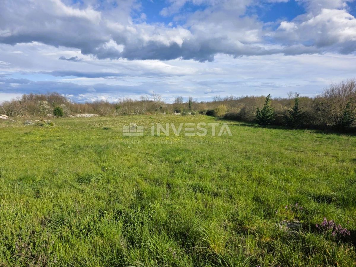 Dintorni di Žminj - terreno edificabile di 660 m² con documentazione progettuale