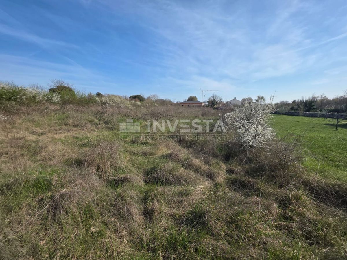 Ampio terreno a uso misto nel cuore dell’Istria