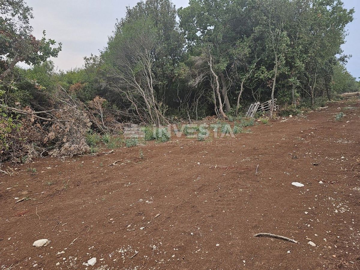 Barbariga, grande terreno edificabile di 1.236 m²