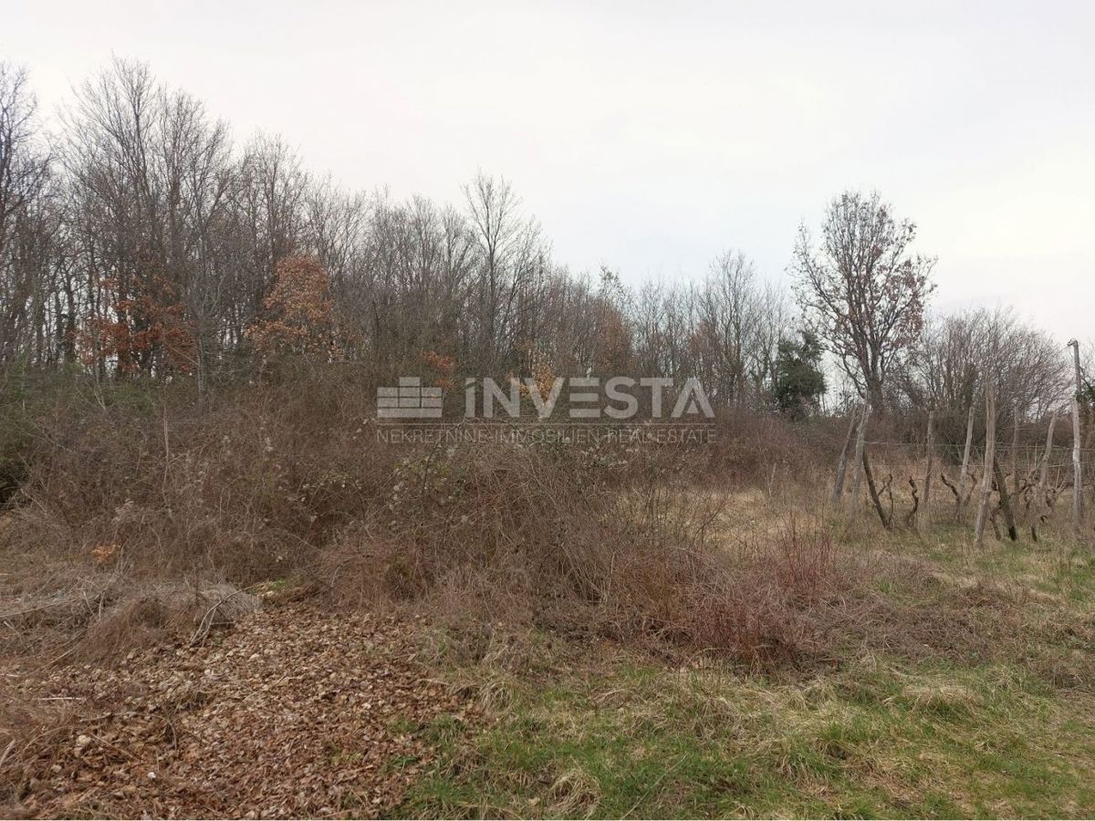 Istria, Gračišće, terreno edificabile 1652 m2