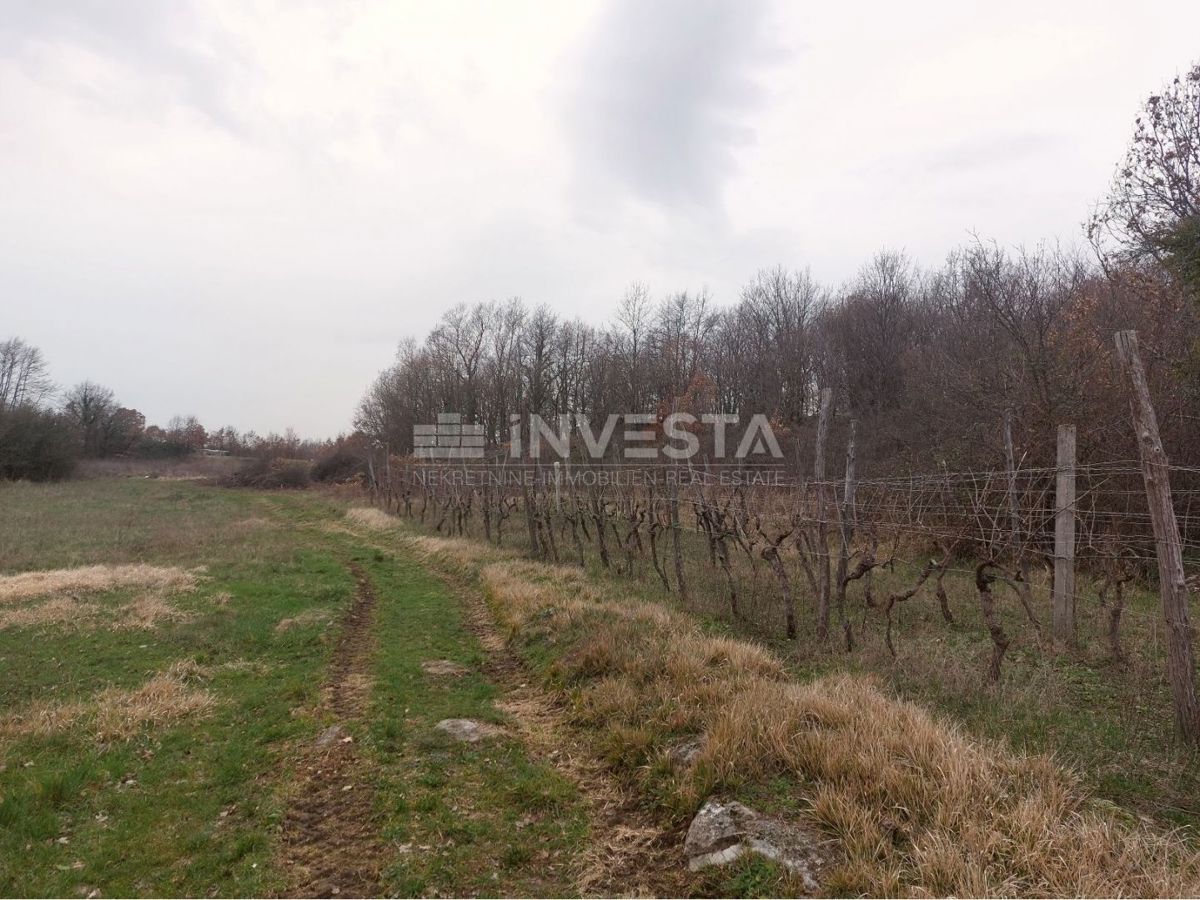 Istria, Gračišće, terreno edificabile 1652 m2