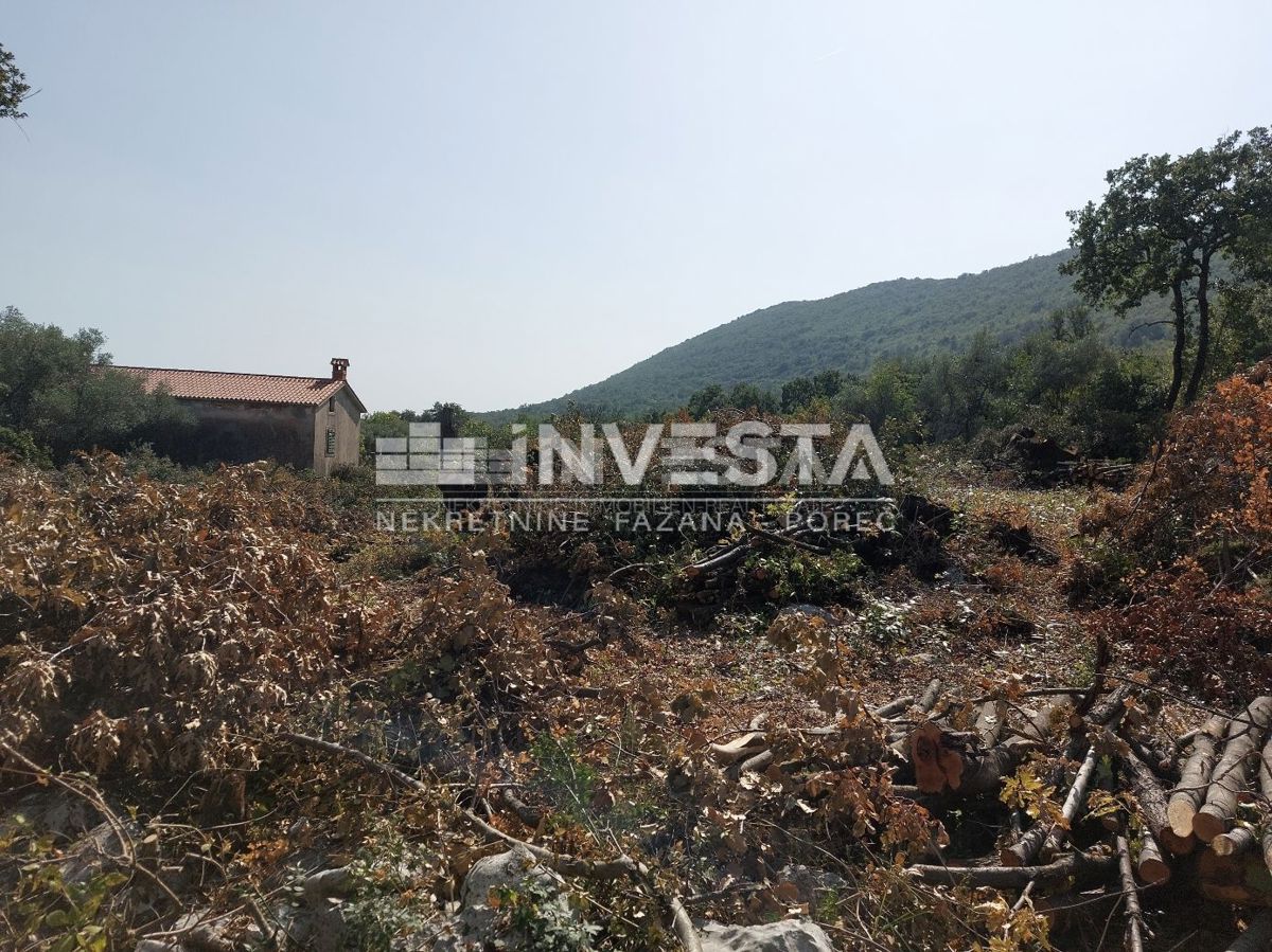 Zona Labin, terreno edificabile 4508 m2 con vista mare