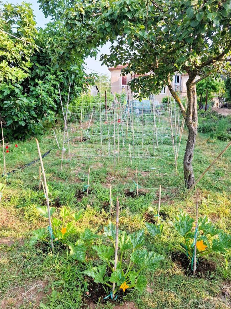 Appartamento Veruda, Pula, 81,39m2