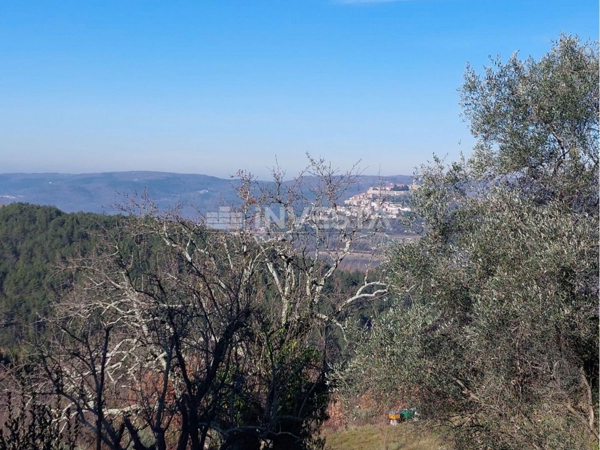 Dintorni di Montona, casa autoctona istriana con vista su Montona