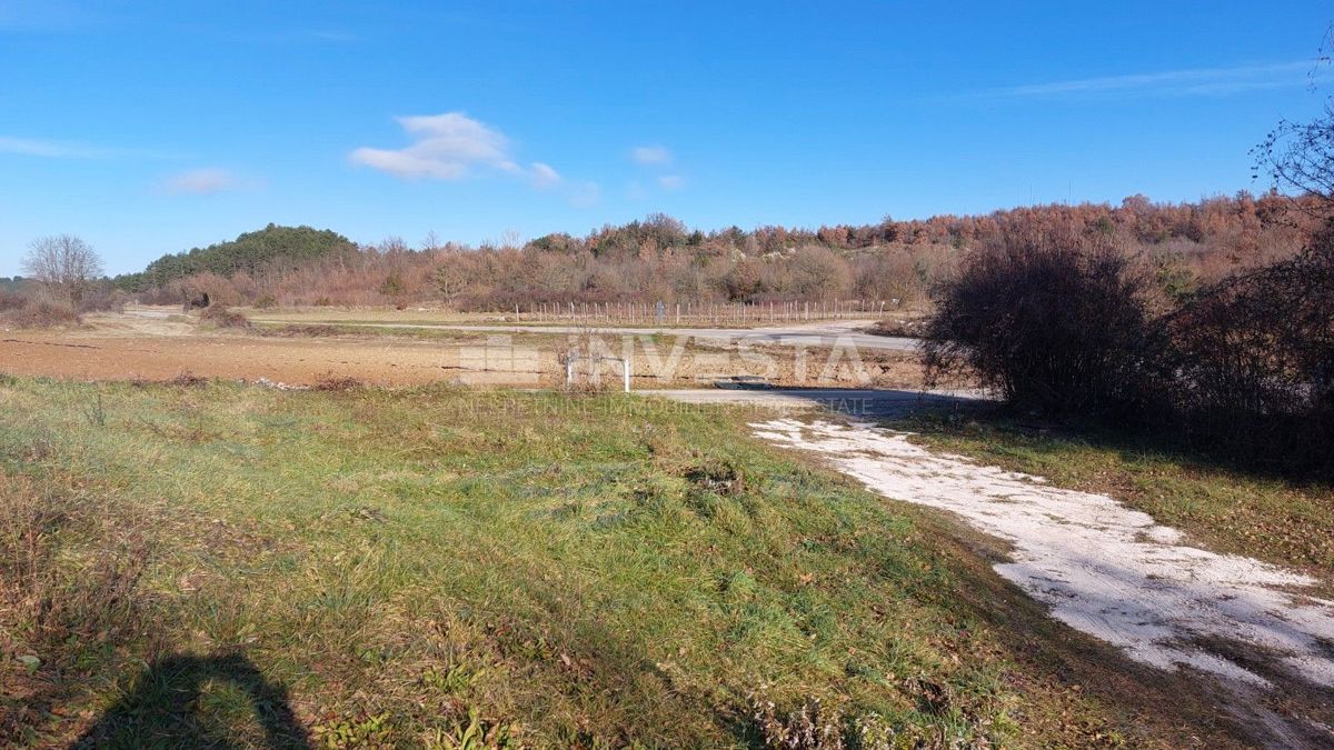 Dintorni di Gračišća, casa istriana autoctona con ampio terreno