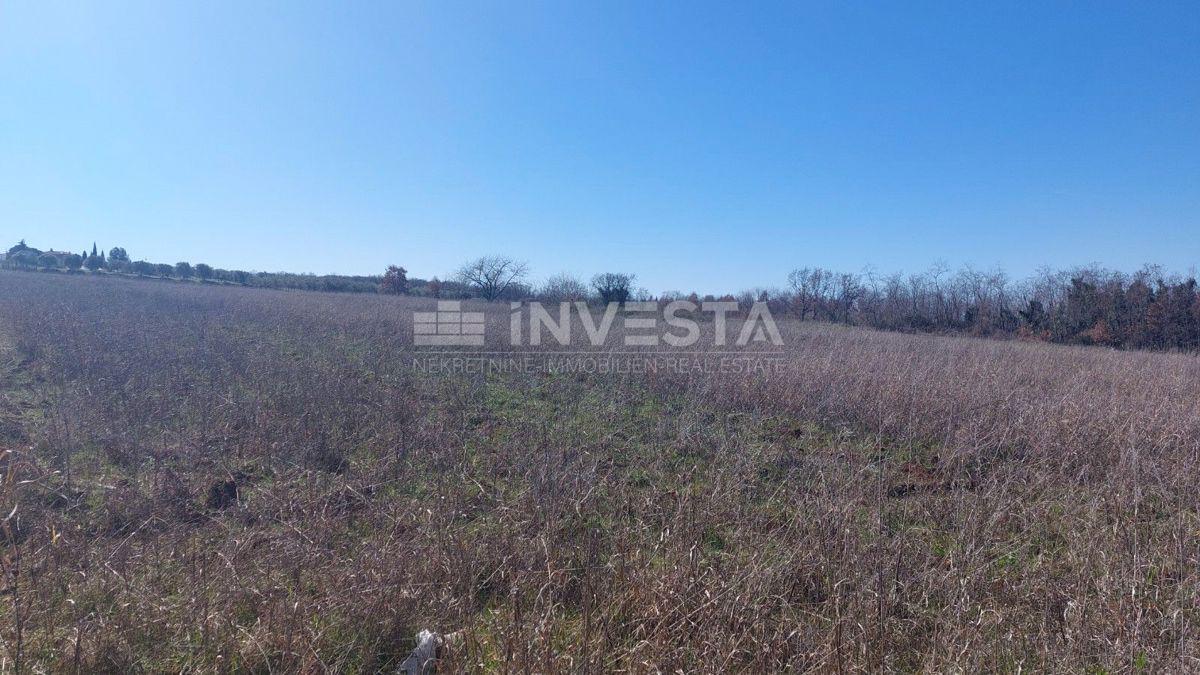Terreno agricolo vicino alla Grotta di Baredine