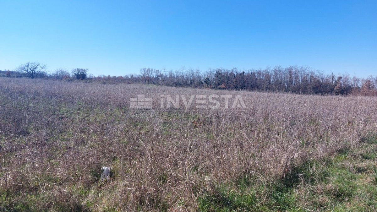 Terreno agricolo vicino alla Grotta di Baredine
