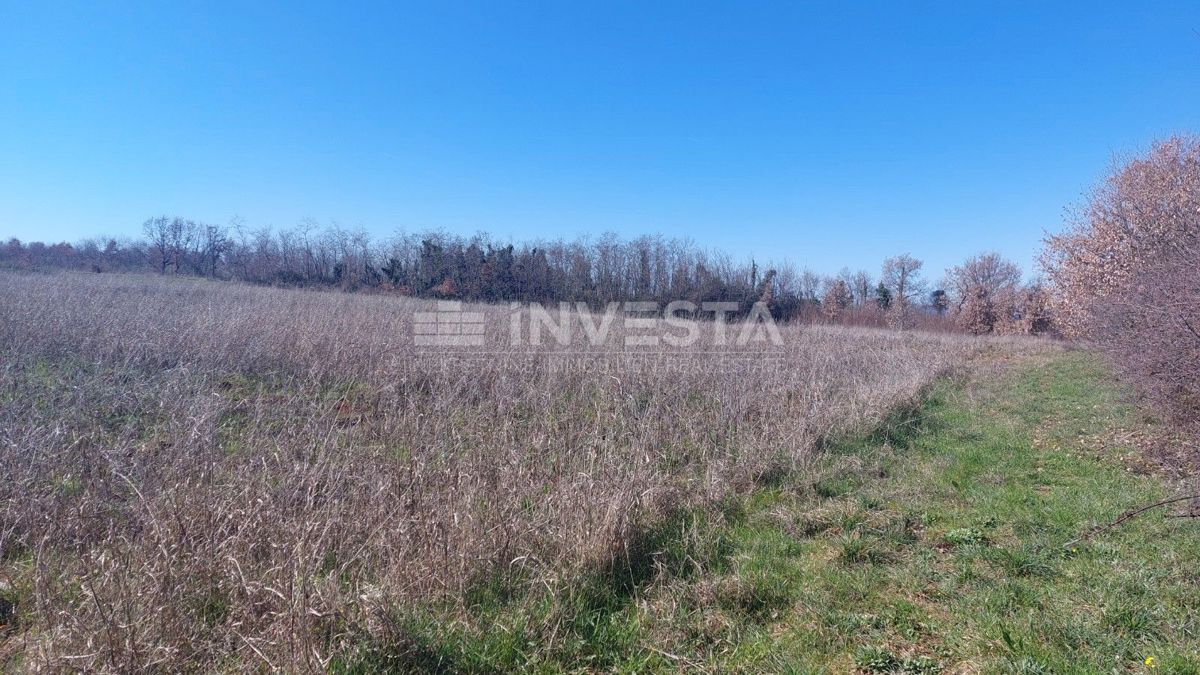 Terreno agricolo vicino alla Grotta di Baredine