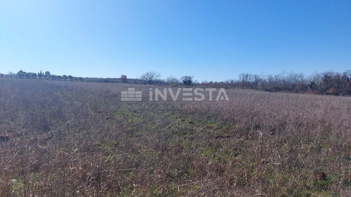 Terreno agricolo vicino alla Grotta di Baredine